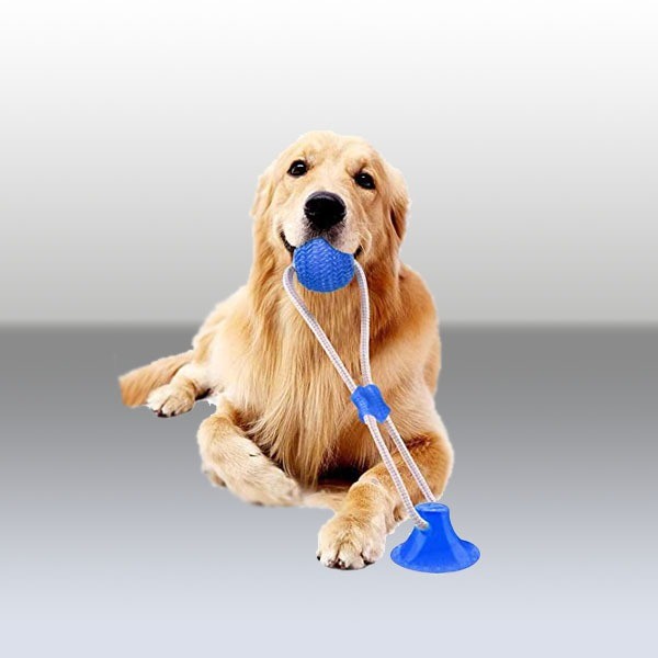 Productos para mascotas